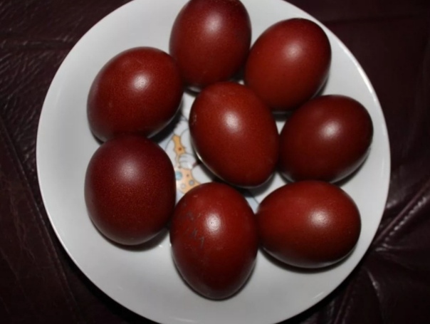 черно медный. цыплята маран черно медный. черно медный. черно медный. петух маран черно медный.