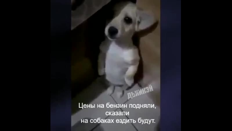 Цены на бензин подняли 😥