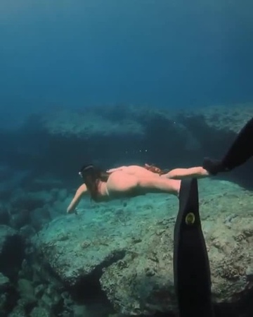 OCEAN CRITTER