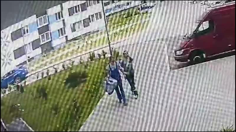 Кто ворует наши туи