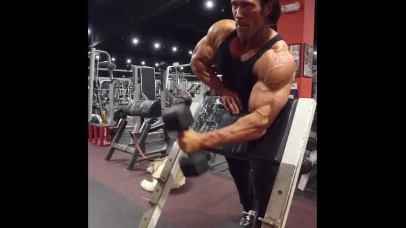 Тренировка тома платца на ноги