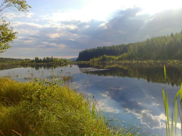 Разлив реки грузинки Разлив реки грузинки