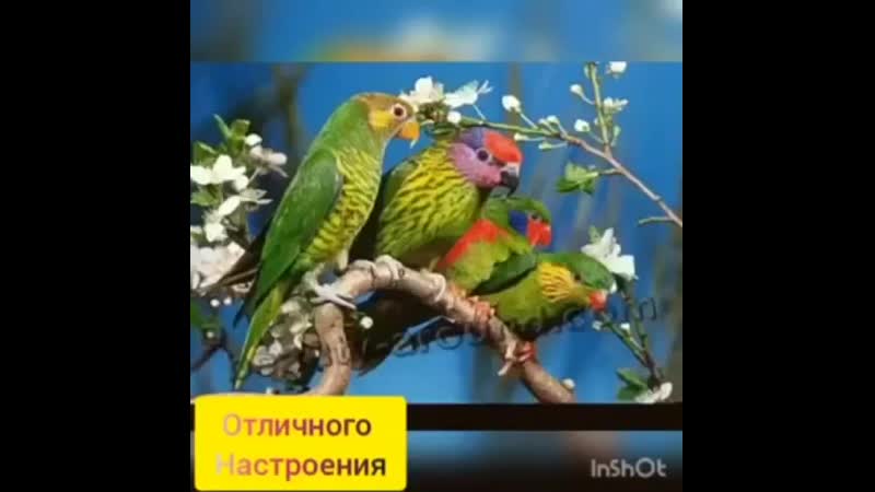 VID-20200320-WA0019.mp4