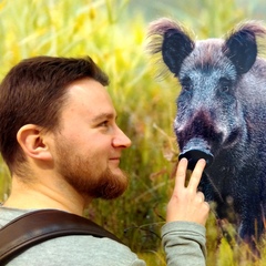 Андрей Порушкин