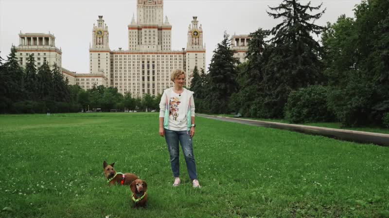 Курс дрессировки собак «Лучший пес Challenge» | Урок первый Курс дрессировки собак «Лучший пес Challenge» | Урок первый